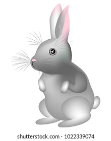 Gray cute rabbit. The symbol of Easter in the culture of many countries. Vector illustration.