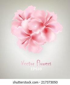 Gray Design Background With Pink Flowers