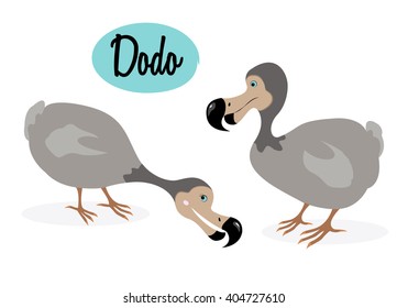 Gray dodo bird illustration. Cartoon style. Extinct flightless bird. Vector illustration on white background. Raphus cucullatus. Ineptus. 