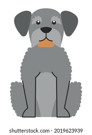 gray dog mascot cute character