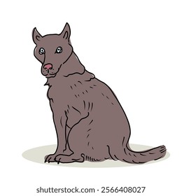 Gray dog sits with tongue hanging out and looking back. Vector hand draw illustration.