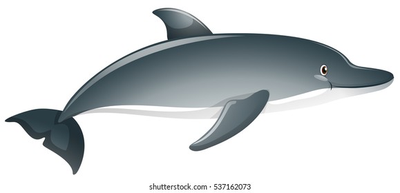 Gray dolphin on white background illustration