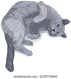 Gray domestic cat lying on its side and looking up. Vector isolated illustration