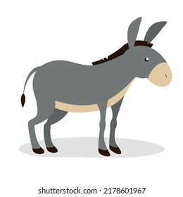 gray donkey on white background