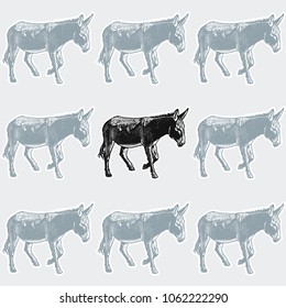 Gray donkeys around black one.
Vector illustration of farm animals. Concept of stubbornness, uniqueness and originality.