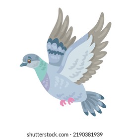 Gray dove is flying. In cartoon style. Isolated on white background. Vector flat illustration.