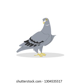 Gray dove isolated on white background. vector illustration
