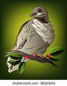 Gray dove perched on a holly branch on a green background EPS10