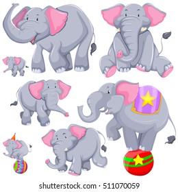 Gray elephant in different actions illustration