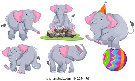 Gray elephant in different actions illustration