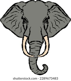 gray elephant, elephant head with tusks