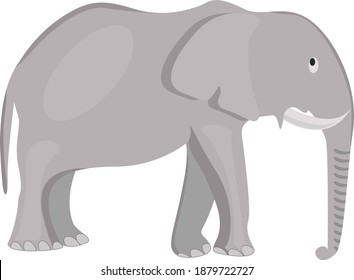 Gray elephant ,illustration, vector on white background.