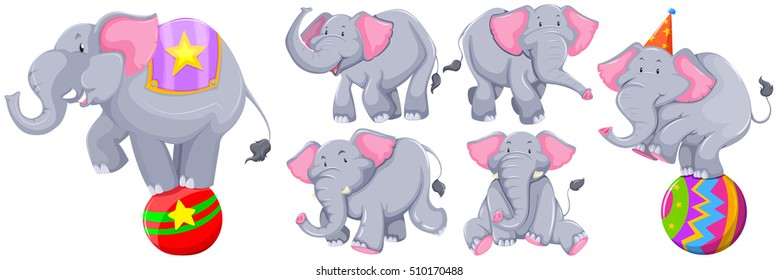 Gray elephants in different actions illustration