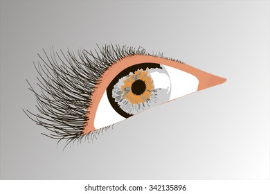 gray eyes with long eyelashes looking into the distance
