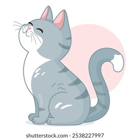 gray fat kitten, cute, basking in the sun