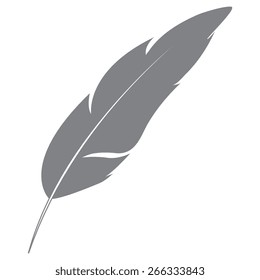 gray Feather Icon
