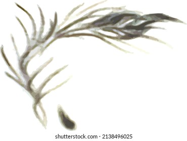 Gray feather sketch on a white backdrop for your creative ideas. Twisted peacock feather for textiles and fabric, logos, emblems, decorative compositions, wallpaper, prints on T-shirts, fashion, etc.