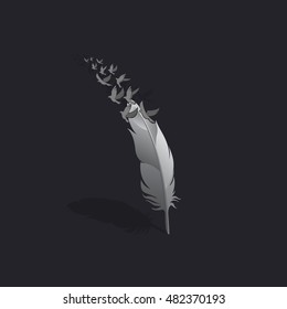 gray feathers abstract isolated on black background, vector illustration.