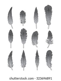 Gray feathers set of icons. Isolated on white background. Vector illustration.