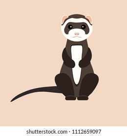 Gray ferret in full growth sits. Vector flat design illustration.