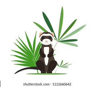 Gray ferret in full growth sits in tropical leaves. Vector illustration.