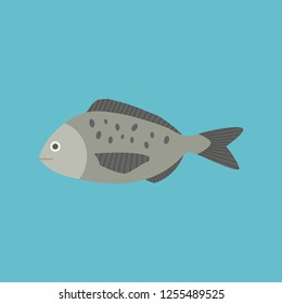 Gray fish icon in flat design with blue background