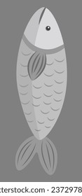 gray fish on a gray background