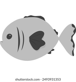 gray fish with teeth, water animal, isolated on white background. underwater animal, flat design