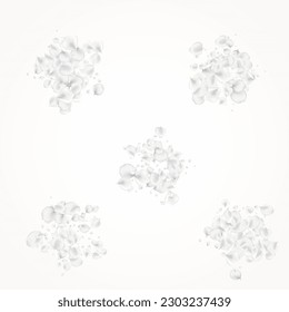 Gray Floral Vector Light Background. White Tender Sakura Template. Fly Flower Texture. Snowy Blossom Summer Cover.