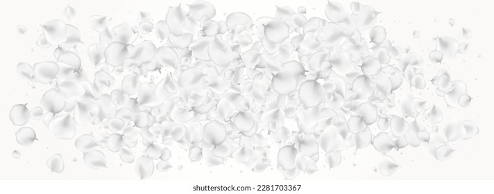 Gray Floral Vector Light Panoramic Background. White Japan Lotus Banner. Fall Flower Illustration. Snowy Peach Summer Design.