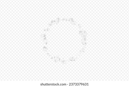 Gray Floral Vector Transparent Background. Delicate Japanese Sakura Cover. Fall Flower Pattern. Snowy Lotus Flying Design.
