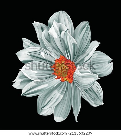 Gray flower, Spring flower. Isolated on balck background. vector flower