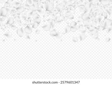 Gray Flower Vector Transparent Background. White Beauty Peach Frame. Japanese Sakura Banner. Delicate Blossom Blur Cover.