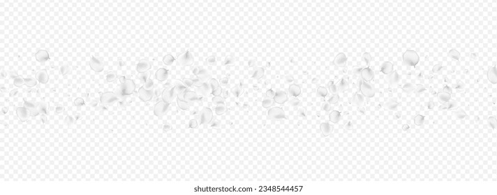 Gray Flower Vector Transparent Panoramic Background. Pastel Falling Rose Backdrop. Japan Blossom Illustration. Delicate Sakura Tender Frame.