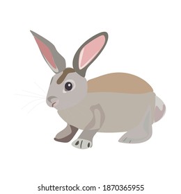 A gray fluffy rabbit looks at the sign. Isolated on a white background. Easter bunny. Vector 
