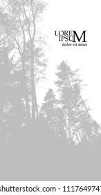 Gray forest background