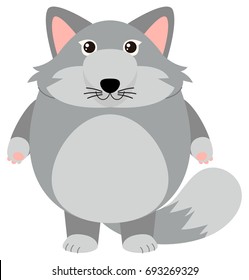 Gray fox on white background illustration