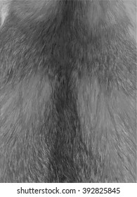 Gray fur for background usage. Vector illustration.