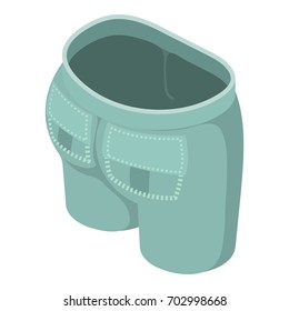 Gray green jeans icon. Isometric illustration of gray green jeans vector icon for web