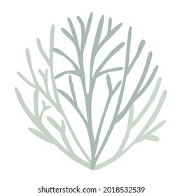 Gray green lichen bush, Icelandic moss, logo on white background