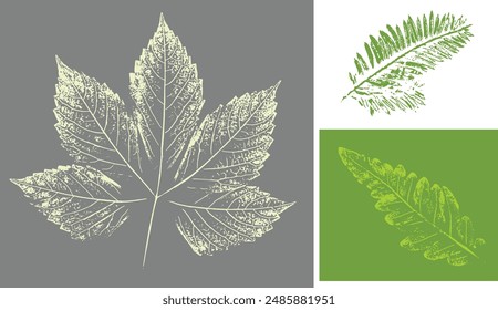 Impresión de sello gris y verde de hojas y plantas con textura realista. Impresión de hoja aislada para arte floral o patrón.