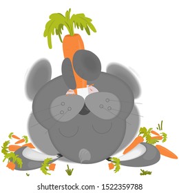 
Gray hare eats tasty carrots