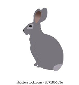 Gray hare isolated on white background. Cute funny painting bunny sits in forest, side view. Drawn wild rabbit jumping, vector flat design eps 10
