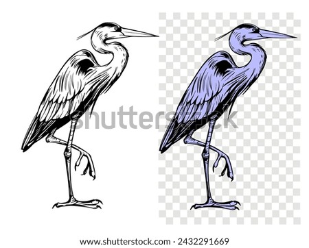 Similar – Image, Stock Photo Gray heron Heron Bird