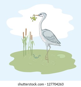 Gray heron and frog on the green morass
