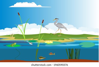 Gray heron on the lake, natural wild landscape scene, vector illustration