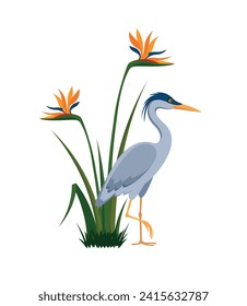 Gray heron and Strelitzia (bird of paradise) flowering bush, eps 10 format