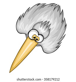 gray heron, view from above