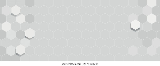 Gray hexagonal background with a geometric style. The background features a textured pattern in light gray and dark gray tones. 3D hexagon border background. Gray background vector.