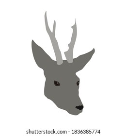 Gray horned Deer head isolated on white background, vector flat design eps 10